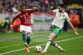 Hungary Ireland WCup Soccer