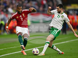 Hungary Ireland WCup Soccer