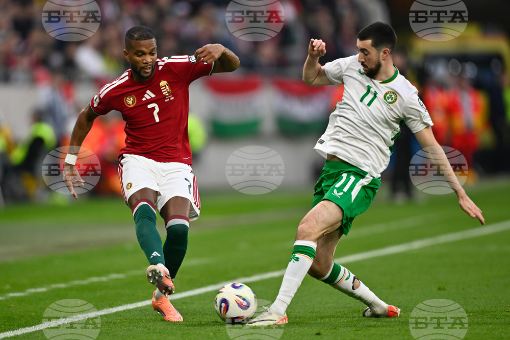 Hungary Ireland WCup Soccer