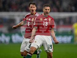 Hungary Ireland WCup Soccer