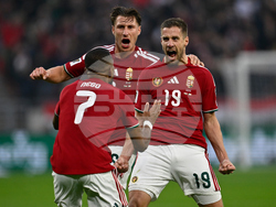 Hungary Ireland WCup Soccer