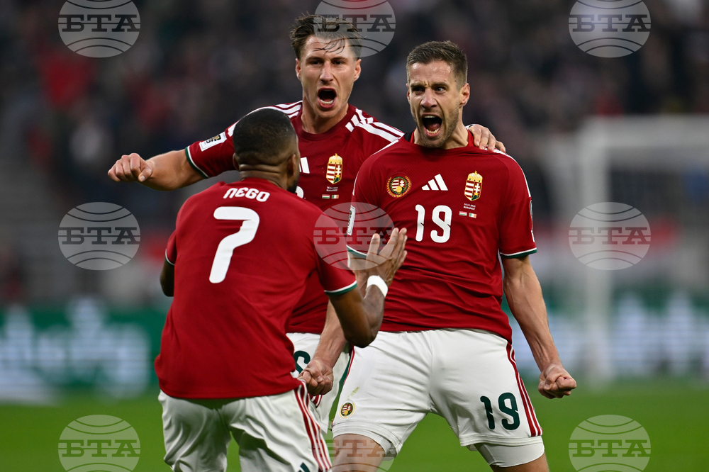 Hungary Ireland WCup Soccer