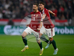 Hungary Ireland WCup Soccer