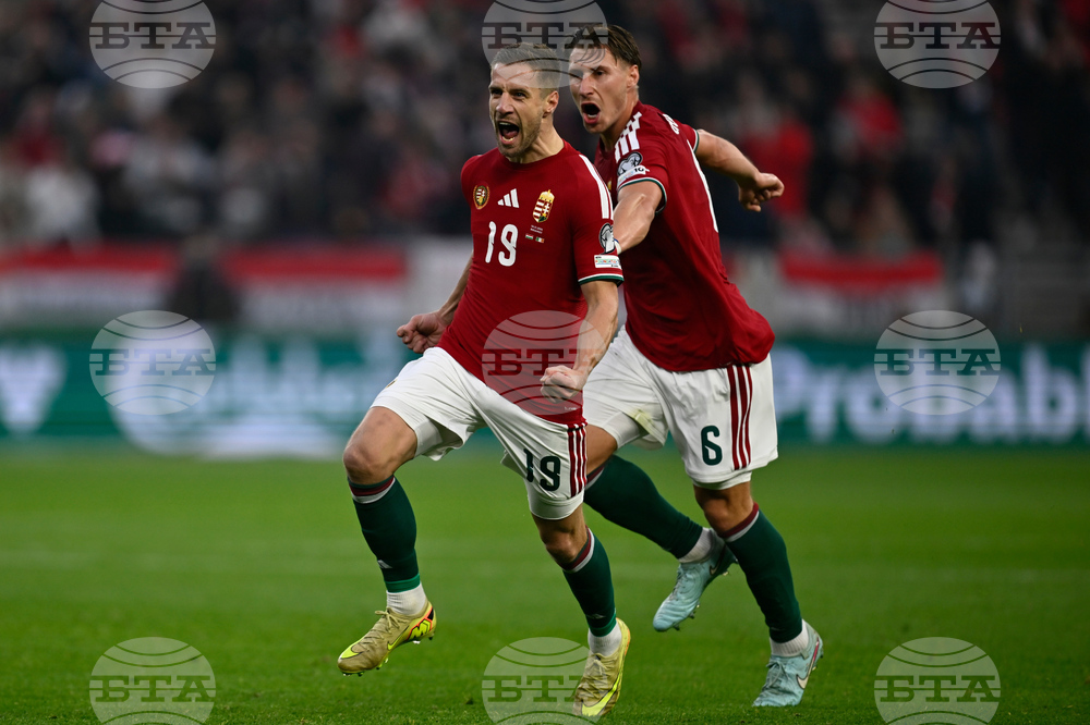 Hungary Ireland WCup Soccer