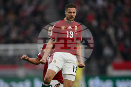 Hungary Ireland WCup Soccer