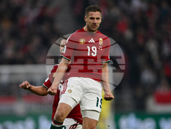 Hungary Ireland WCup Soccer