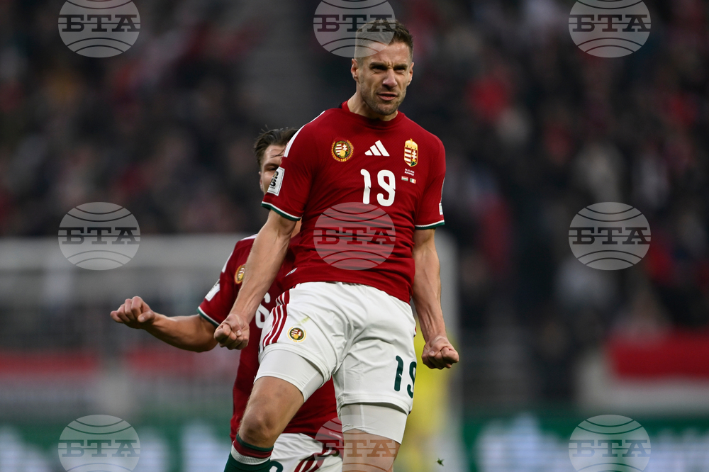 Hungary Ireland WCup Soccer