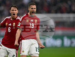 Hungary Ireland WCup Soccer