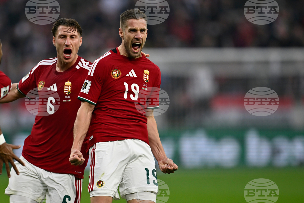 Hungary Ireland WCup Soccer