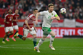 Hungary Ireland WCup Soccer