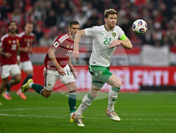 Hungary Ireland WCup Soccer