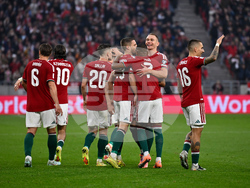 Hungary Ireland WCup Soccer