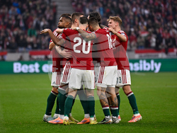 Hungary Ireland WCup Soccer