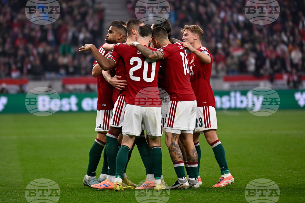 Hungary Ireland WCup Soccer