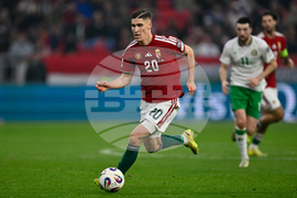 Hungary Ireland WCup Soccer