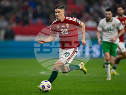 Hungary Ireland WCup Soccer