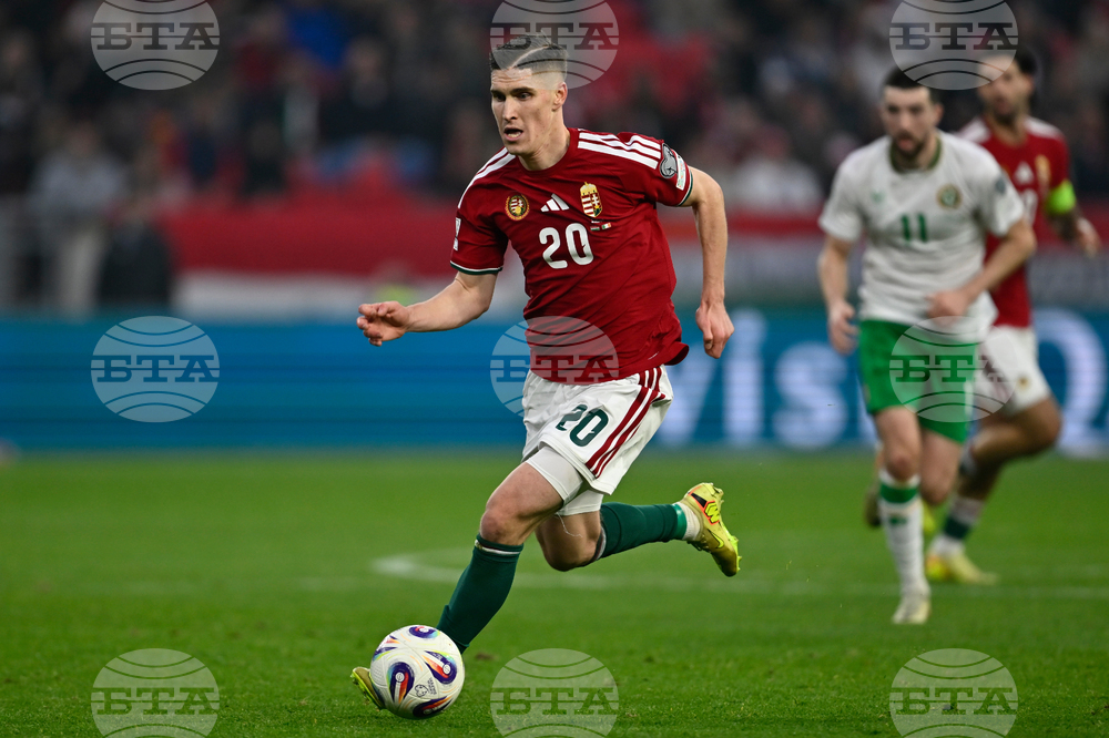 Hungary Ireland WCup Soccer