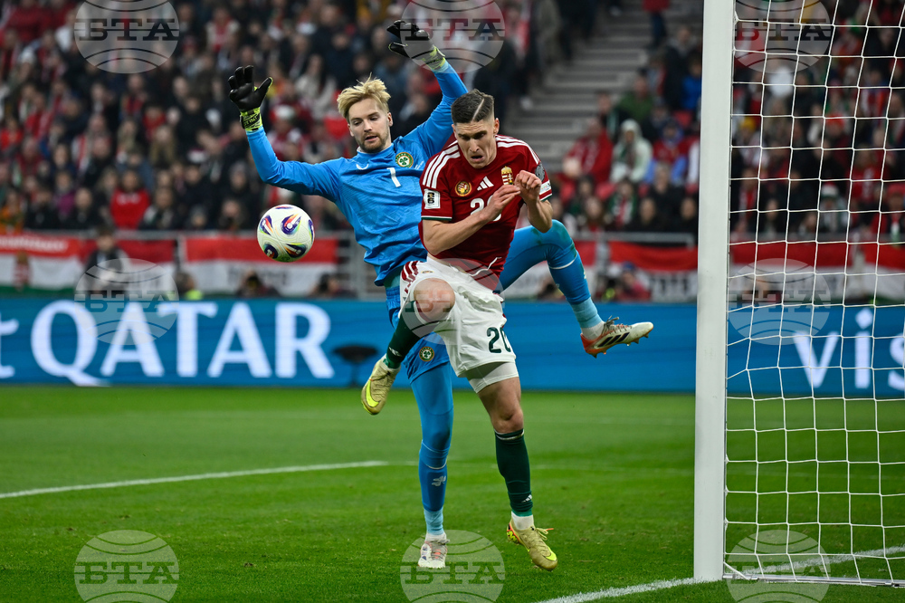 Hungary Ireland WCup Soccer