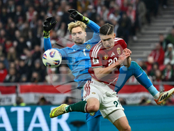 Hungary Ireland WCup Soccer