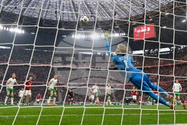 Hungary Ireland WCup Soccer