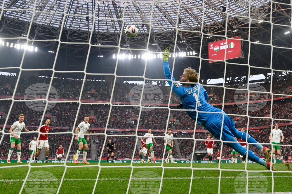 Hungary Ireland WCup Soccer