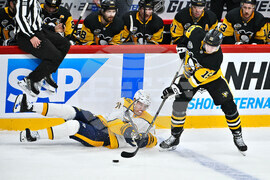 Sweden Predators Penguins Hockey