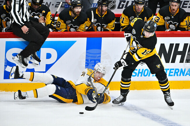 Sweden Predators Penguins Hockey