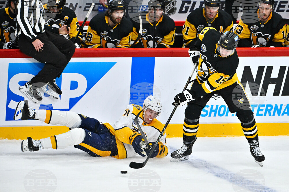 Sweden Predators Penguins Hockey