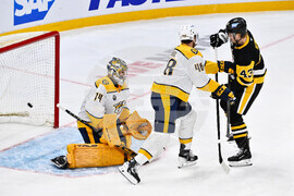 Sweden Predators Penguins Hockey