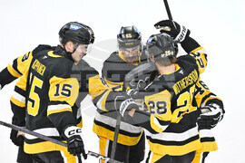 Sweden Predators Penguins Hockey