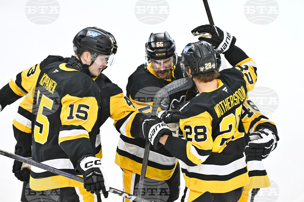 Sweden Predators Penguins Hockey