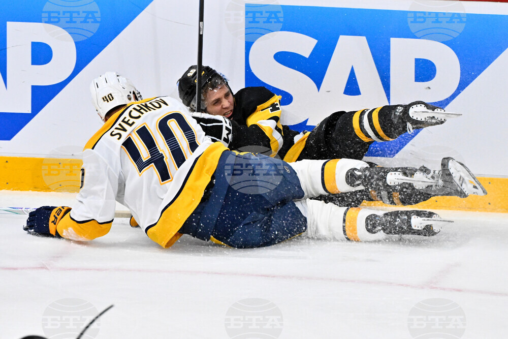 Sweden Predators Penguins Hockey