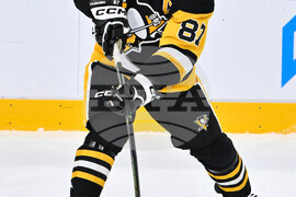 Sweden Predators Penguins Hockey