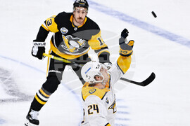 Sweden Predators Penguins Hockey