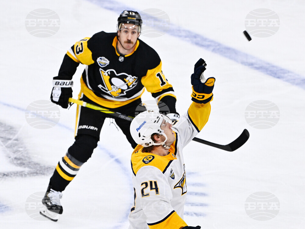 Sweden Predators Penguins Hockey