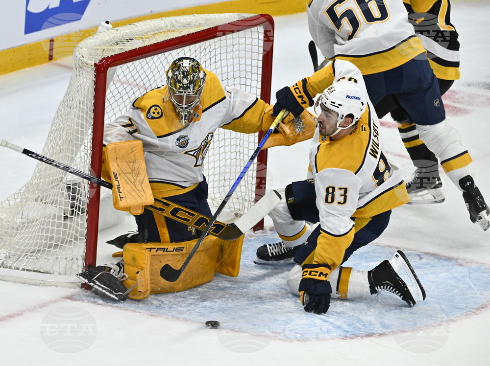 Sweden Predators Penguins Hockey