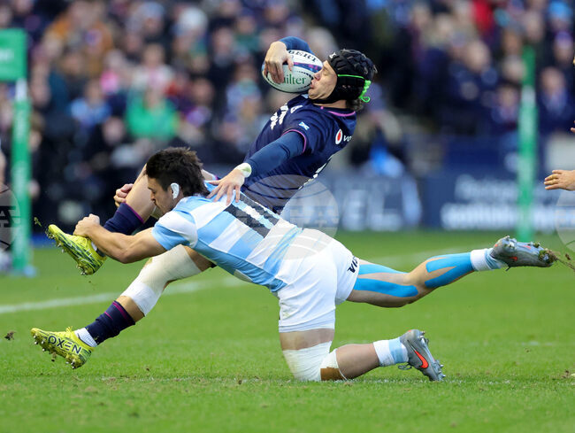 Scotland Argentina Rugby