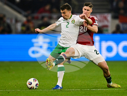 Hungary Ireland WCup Soccer
