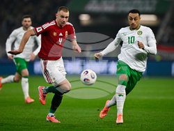 Hungary Ireland WCup Soccer