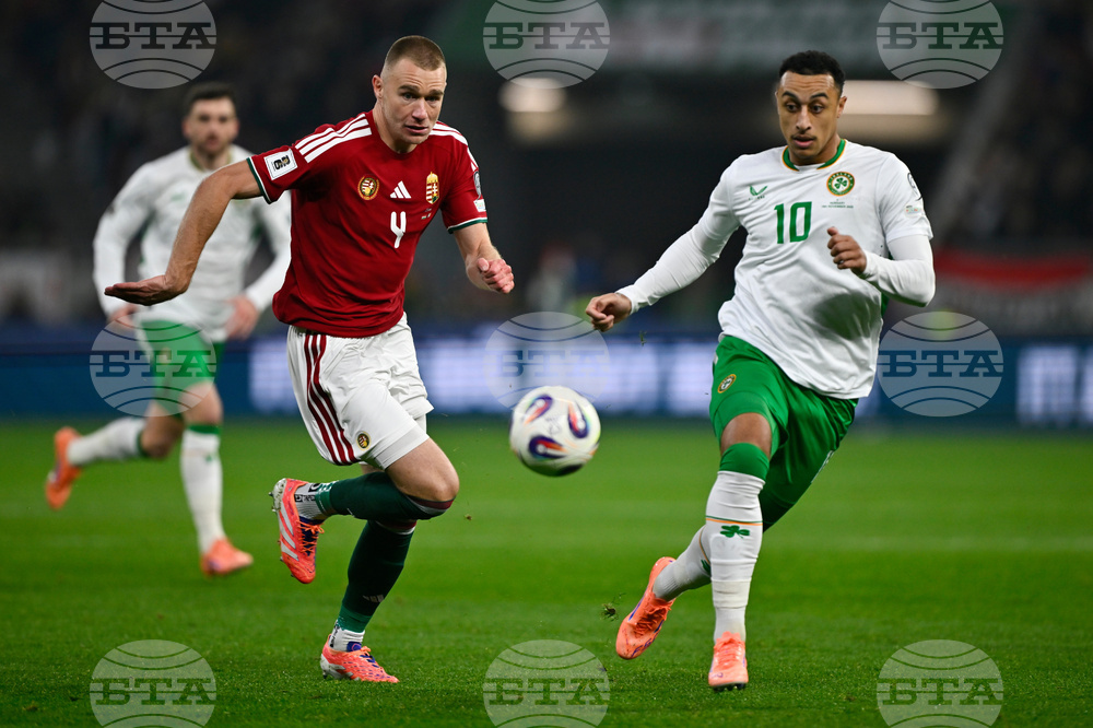 Hungary Ireland WCup Soccer