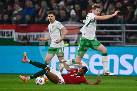 Hungary Ireland WCup Soccer