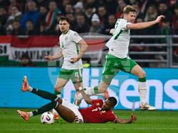 Hungary Ireland WCup Soccer