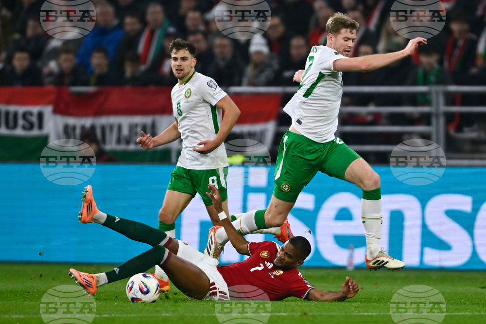 Hungary Ireland WCup Soccer