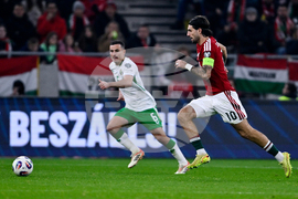 Hungary Ireland WCup Soccer