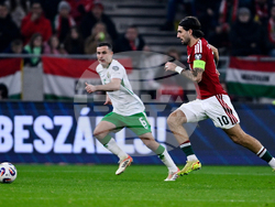 Hungary Ireland WCup Soccer