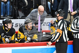 Sweden Predators Penguins Hockey