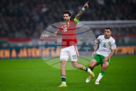 Hungary Ireland WCup Soccer