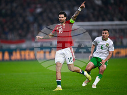 Hungary Ireland WCup Soccer