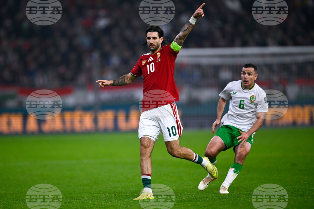 Hungary Ireland WCup Soccer