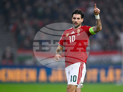 Hungary Ireland WCup Soccer